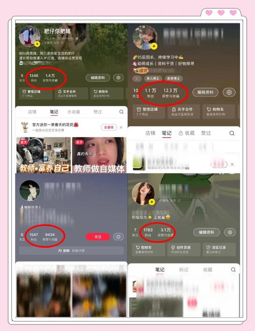 抖音tiktok涨粉5000,抖音TikTok涨粉策略：揭秘如何轻松吸引五千粉丝!