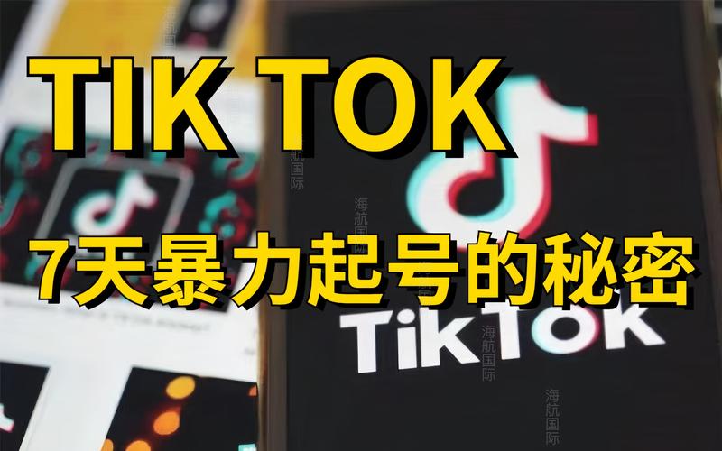 tiktok台湾版涨粉,TikTok台湾版涨粉策略:揭秘成功吸引粉丝的秘诀!