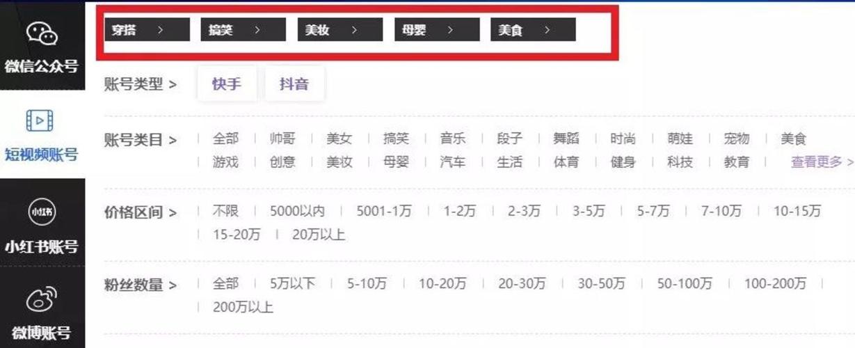 抖音刷一元100个赞购买,关于抖音刷赞现象的探讨:一元能换来百赞背后的秘密和影响!