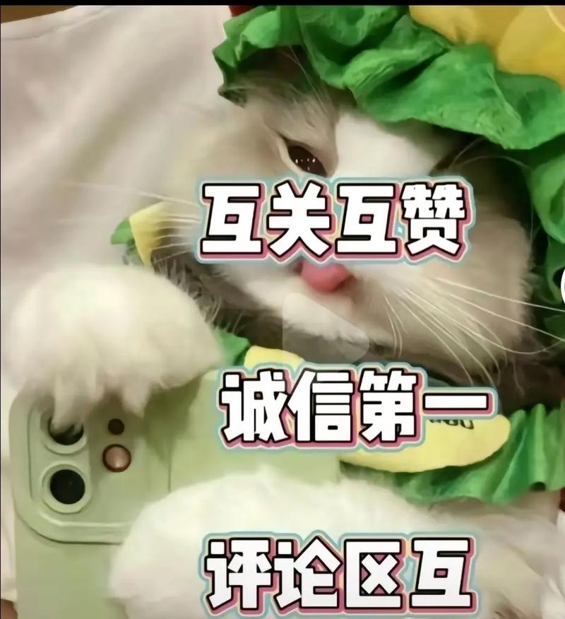抖音刷粉赞