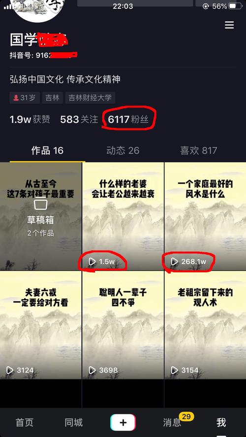 什么时间刷抖音播放量达,探索最佳时间,如何创造高质量的抖音播放量!