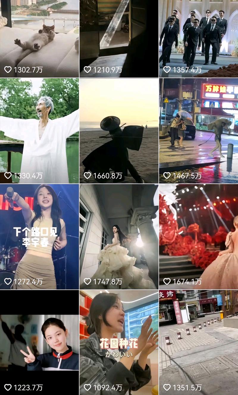 专门刷抖音赞