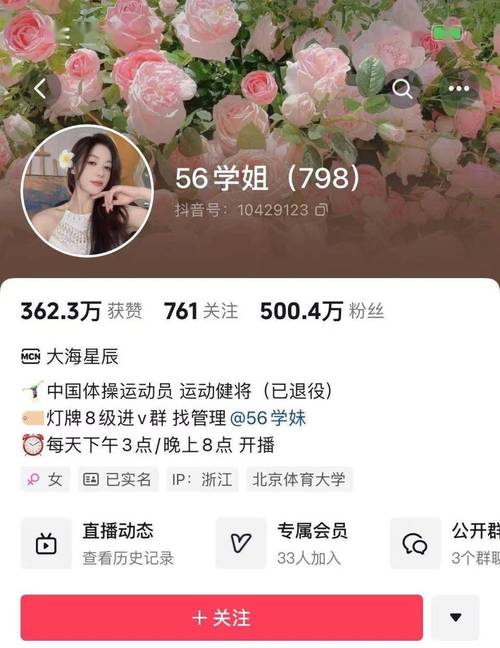抖音慢刷粉