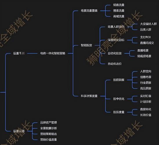 抖音粉丝业务去哪里代理,抖音粉丝业务代理市场分析与指导:粉丝代理的未来发展路径探讨!