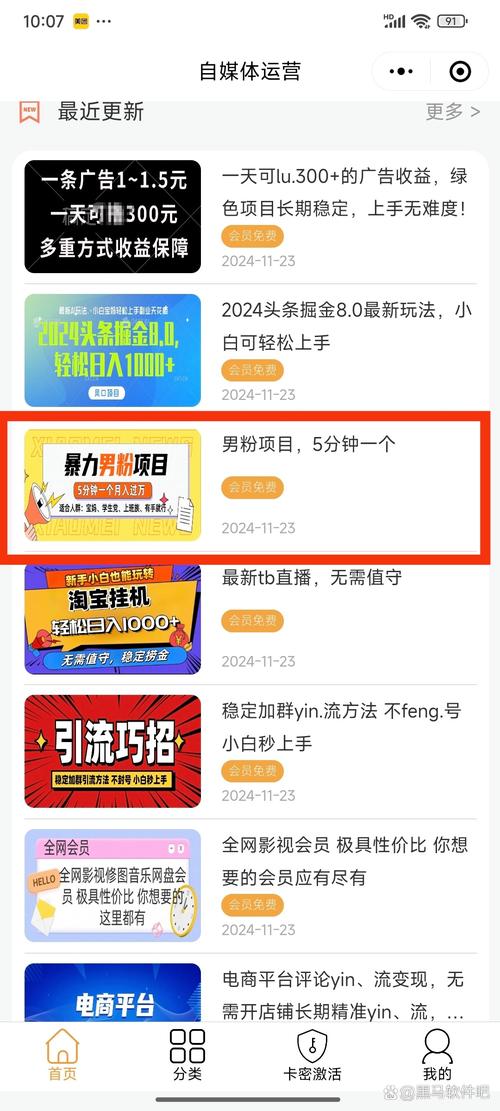 抖音粉丝购买网站免费,抖音粉丝购买网站免费——深度探讨背后的真相与挑战!