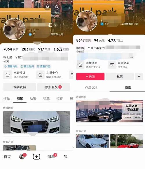 抖音千川能直接涨粉吗,抖音千川是否能直接涨粉:深度解析与策略探讨!