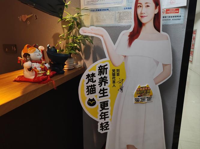 梵猫ST千川抖音涨粉,梵猫ST千川抖音涨粉策略深度解析!