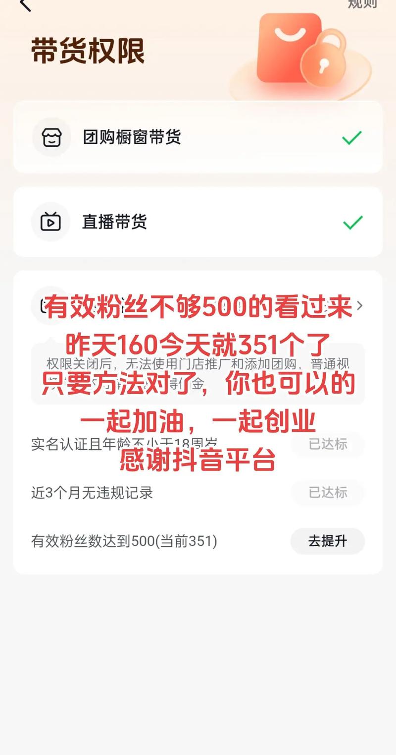抖音有效粉丝不够500,抖音有效粉丝不足五百的突破策略:如何快速增长你的粉丝群体!