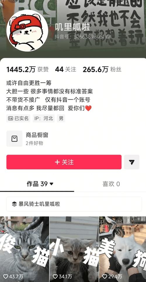 买抖音粉的后果