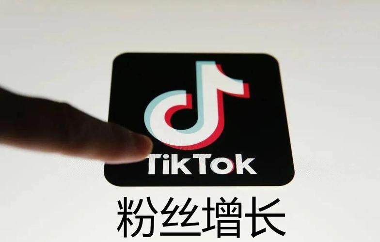tiktok美国号涨粉,TikTok美国号涨粉策略：打造热门社交媒体影响力!