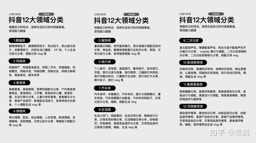 抖音有效粉丝项目,抖音有效粉丝项目：深度解析与策略探讨!