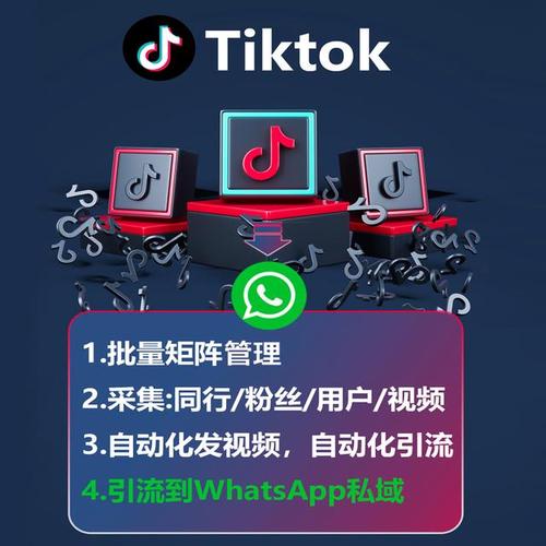 tiktok带货涨粉,TikTok带货涨粉策略：打造影响力与实现转化的全方位指南!