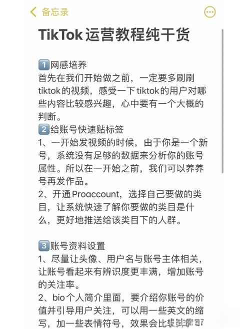 tiktok投流涨粉价格,TikTok投流涨粉价格：深度解析与策略建议!