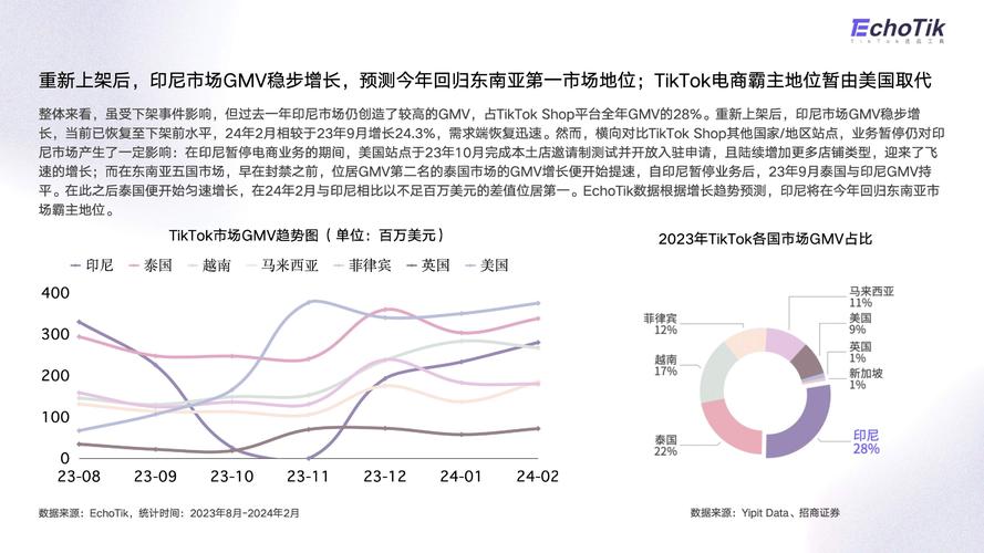 tiktok投流涨粉价格,TikTok投流涨粉价格：深度解析与策略建议!