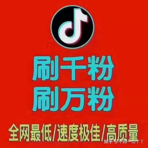 抖音刷粉找我