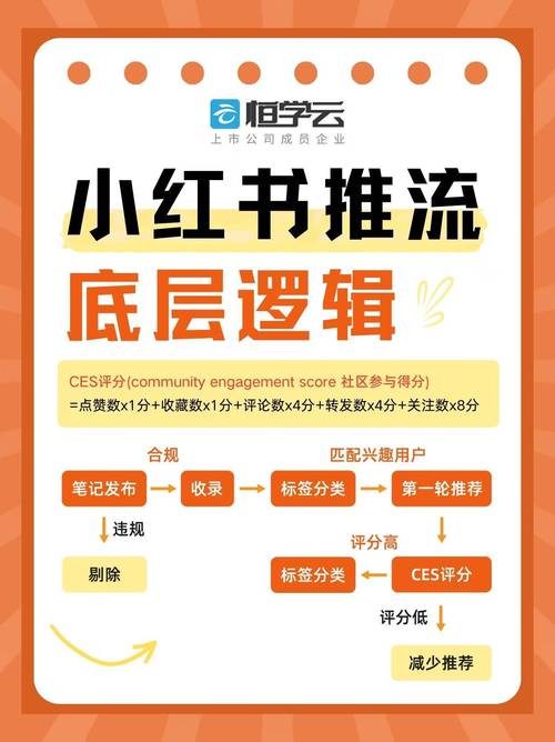 标题：解锁B站流量密码：从内容创作到运营策略的全方位指南