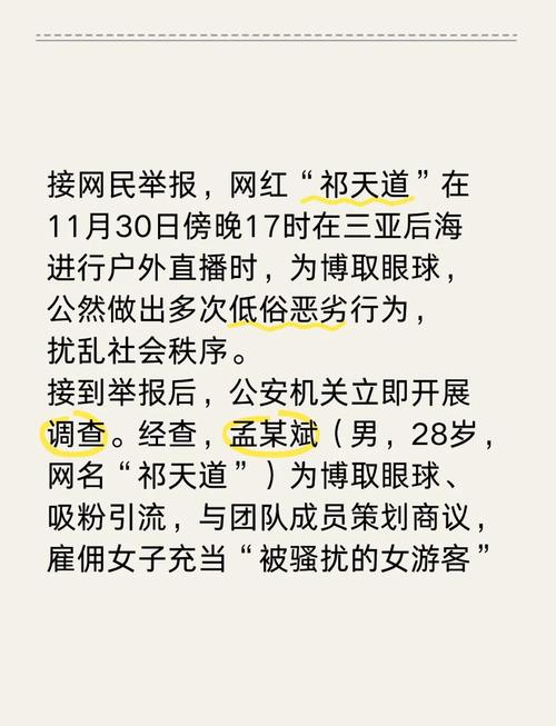 # 揭秘哔哩哔哩播放量代刷网：真实案例背后的风险与真相