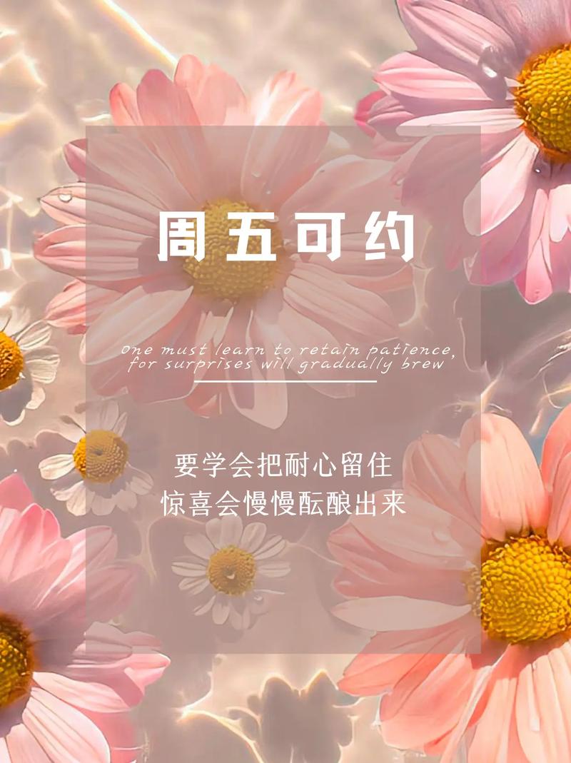 抖音粉丝自助购，让你的才华不再被埋没