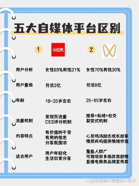 # 不花钱也能提升人气！B站视频免费刷量秘籍大公开