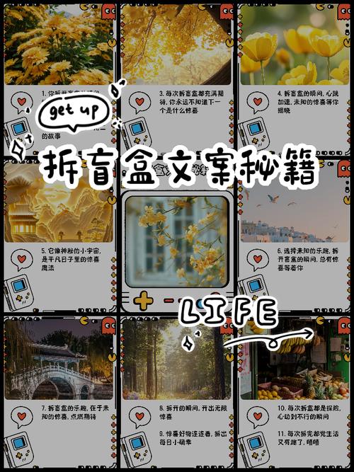 标题：解锁小红书粉丝网站新玩法：让你的生活分享成为璀璨星辰的秘籍
