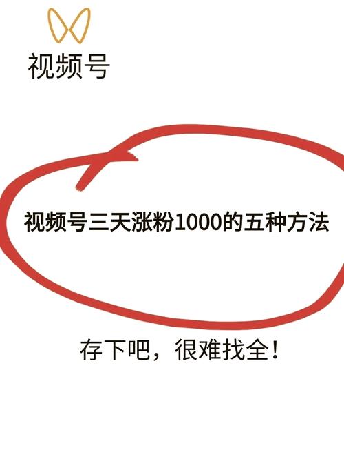 标题：从零到百万粉丝：我的视频号涨粉之路全解析与实战心得