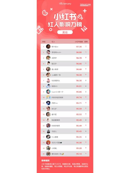购买粉丝对小红书账号有何长远影响?一篇文章带你了解。