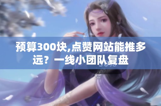 预算300块,点赞网站能推多远？一线小团队复盘