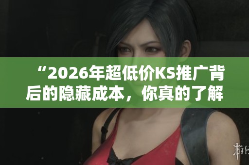 “2026年超低价KS推广背后的隐藏成本，你真的了解吗？”