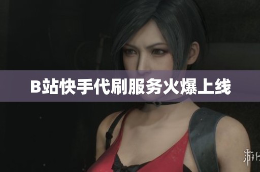 B站快手代刷服务火爆上线