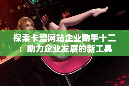 探索卡盟网站企业助手十二：助力企业发展的新工具