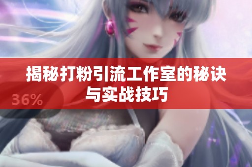 揭秘打粉引流工作室的秘诀与实战技巧 揭秘打粉引流工作室的秘诀与实战技巧