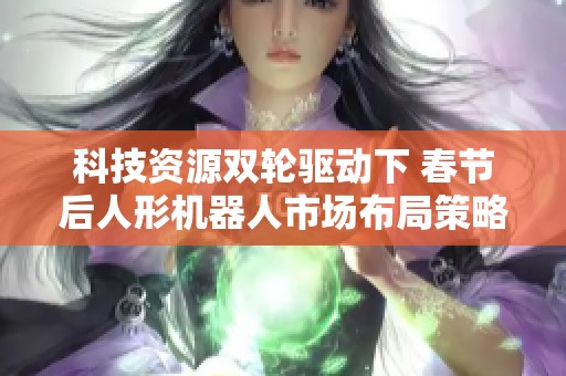 科技资源双轮驱动下 春节后人形机器人市场布局策略探讨 科技资源双轮驱动下 春节后人形机器人市场布局策略探讨