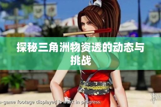 探秘三角洲物资透的动态与挑战