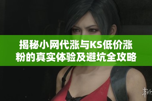 揭秘小网代涨与KS低价涨粉的真实体验及避坑全攻略