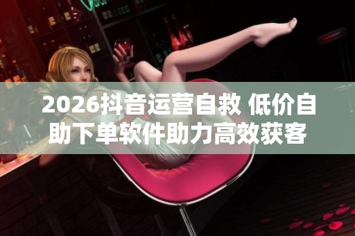 2026抖音运营自救 低价自助下单软件助力高效获客 2026抖音运营自救 低价自助下单软件助力高效获客