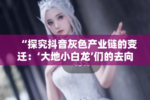 “探究抖音灰色产业链的变迁：‘大地小白龙’们的去向与影响”