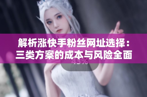解析涨快手粉丝网址选择：三类方案的成本与风险全面对比