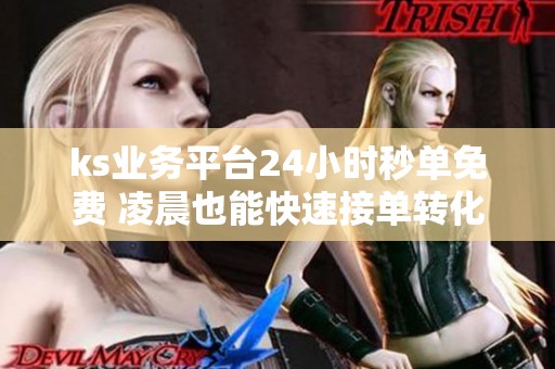 ks业务平台24小时秒单免费 凌晨也能快速接单转化