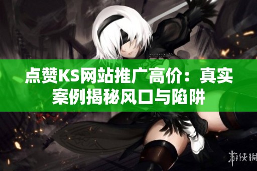 点赞KS网站推广高价：真实案例揭秘风口与陷阱