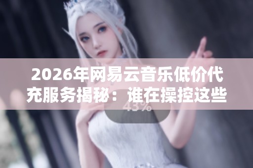 2026年网易云音乐低价代充服务揭秘：谁在操控这些全天候自助平台？
