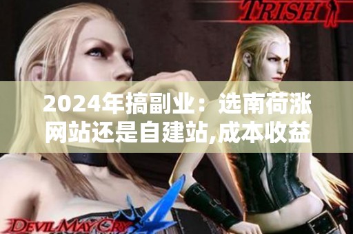 2024年搞副业：选南荷涨网站还是自建站,成本收益怎么分配？