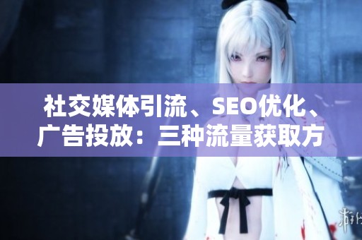社交媒体引流、SEO优化、广告投放：三种流量获取方式的投入产出比