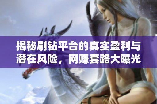 揭秘刷钻平台的真实盈利与潜在风险，网赚套路大曝光