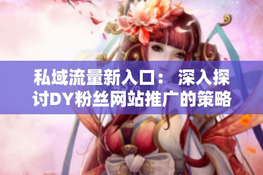 私域流量新入口： 深入探讨DY粉丝网站推广的策略与思考