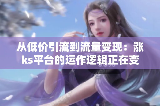 从低价引流到流量变现:涨ks平台的运作逻辑正在变 从低价引流到流量变现:涨ks平台的运作逻辑正在变